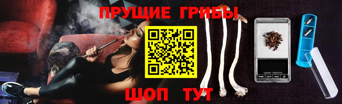магазин    Галлюциногенные грибы GOLDEN TEACHER  Вход с VPN  Калуга  Псилоцибиновые грибы Psilocybe 