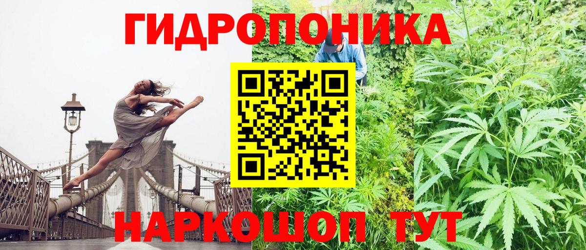 Шишки марихуана тримм  МАРИХУАНА Bruce Banner  Марихуана тримм  Калуга  Вход с VPN  Марихуана марихуана 